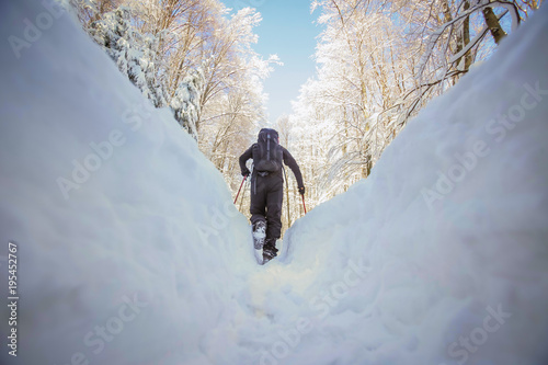 Low angle view of hiker walking on the path with fresh deep snow in the forest on the hill, rear view.