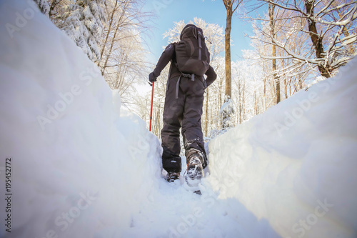 Low angle view of hiker walking on the path with fresh deep snow in the forest on the hill, rear view. photo