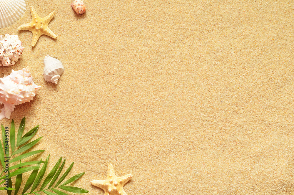 Summer beach. Starfish and seashell on the sand Summer beach. Starfish and seashell on the sand