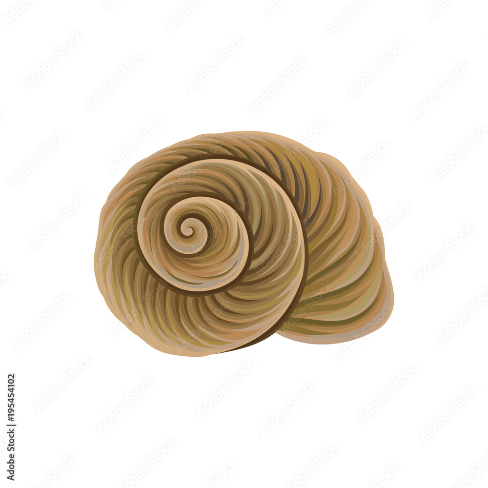 Spiral-shaped shell of sea snail. Marine theme. Object of underwater world. Detailed vector element for summer postcard, promo poster or banner Spiral-shaped shell of sea snail. Marine theme. Object of underwater world. Detailed vector element for summer postcard, promo poster or banner