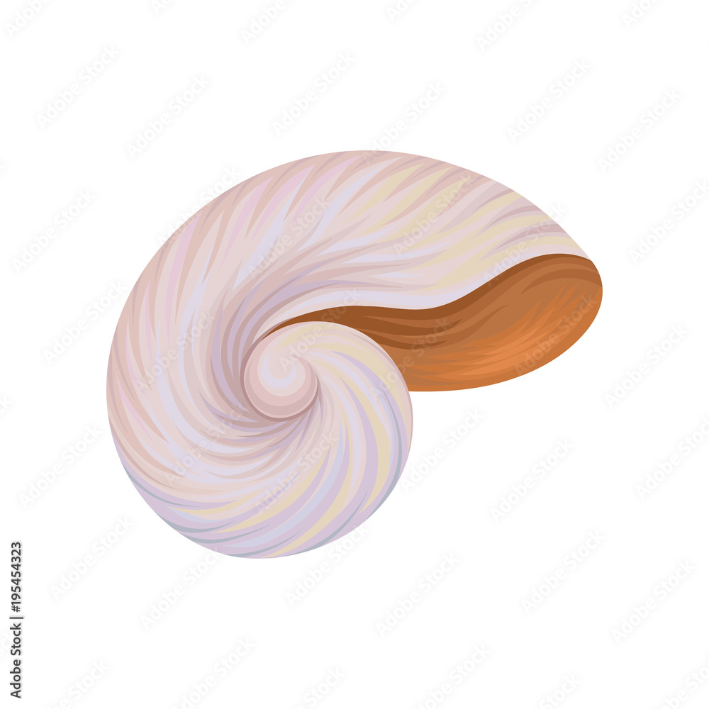 Spiral seashell of marine mollusk. Sea and ocean theme. Object of  underwater world. Detailed vector element for postcard, promo poster or  banner Stock Vector