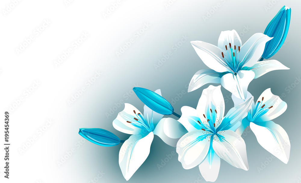 White and blue blooming flowers