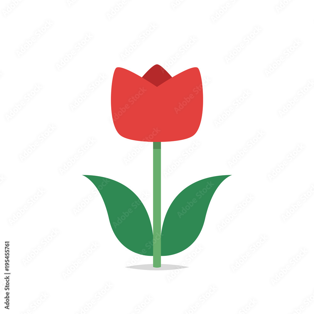 Red tulip vector isolated Red tulip vector isolated