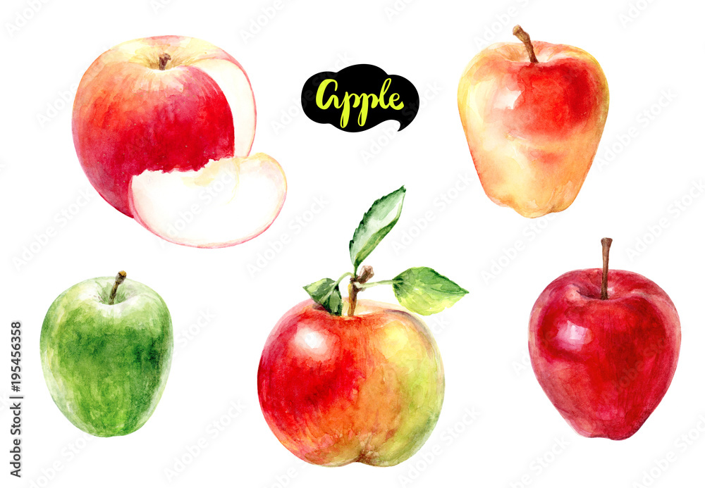 apple fruit watercolor apple fruit watercolor
