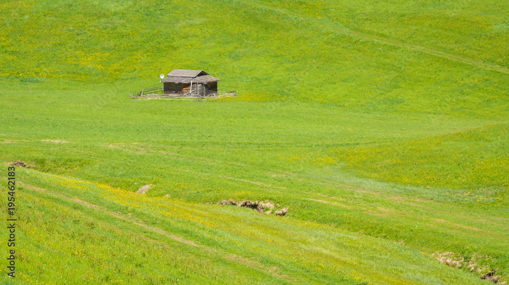 Small barn in the green meadow of the mountains of Trentino Alto Adige, South Tyrol, northern Italy