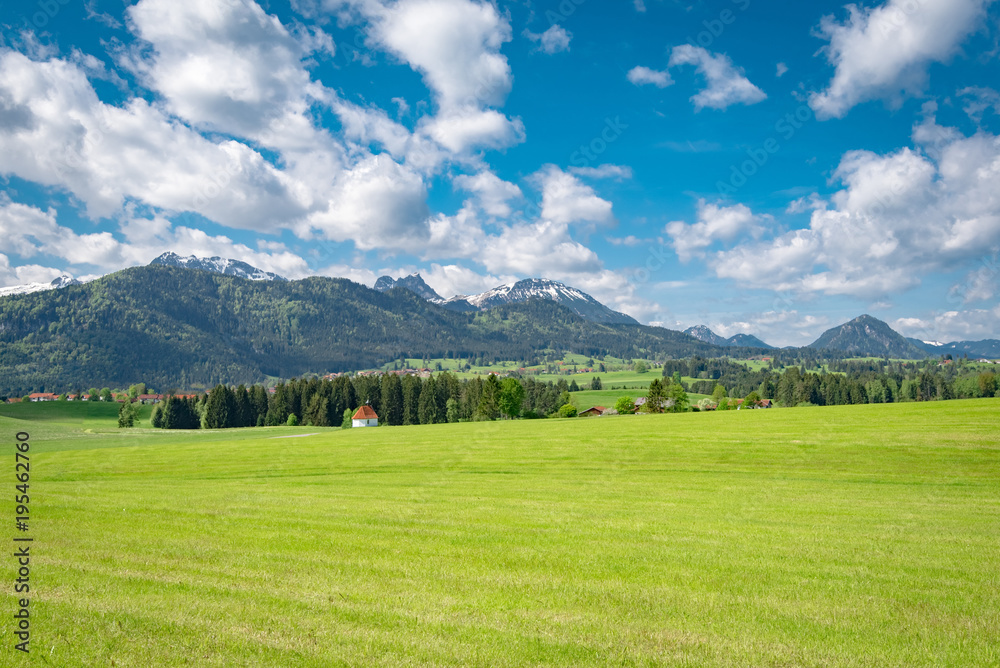Schönes Allgäu - sanfte Wiesenlandschaft vor den Alpen