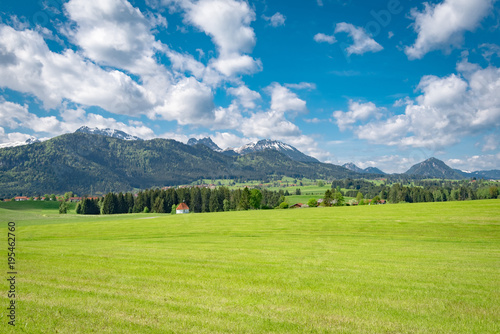 Schönes Allgäu - sanfte Wiesenlandschaft vor den Alpen