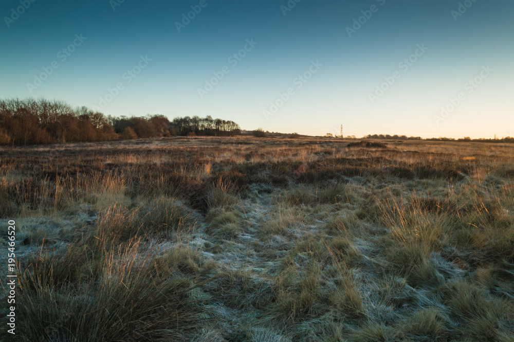 Golden dawn light breaks across the top of the grass on a frozen Wetley Moor in Staffordshire.