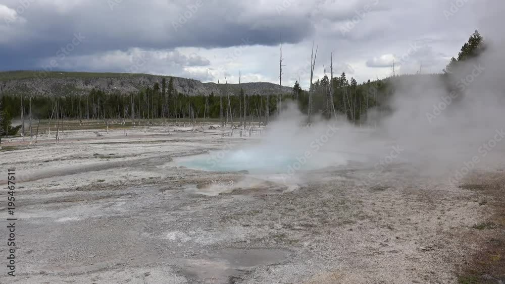 Spouter Geyser at the Black Sand Basin. Yellowstone NP, Wyoming, USA Spouter Geyser at the Black Sand Basin. Yellowstone NP, Wyoming, USA