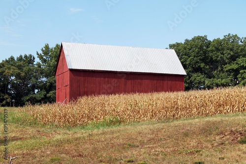 Red barn in cornfield, Calvert County, MD