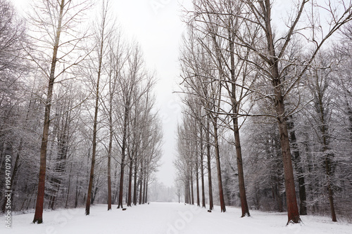 winter park alley with snow