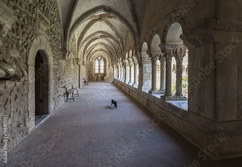 Romanesque cloister of monastery of Elne,Languedoc-Roussillon,France.