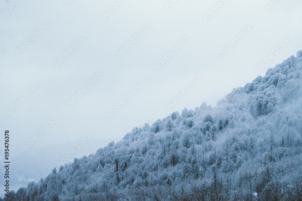 Snowy trees in the mountains, winter mountain landscape