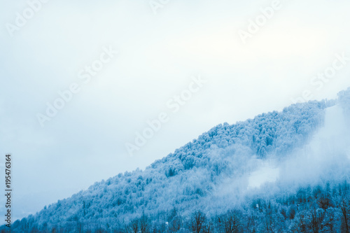 Fog in the snowy wooded mountains, winter mountain landscape