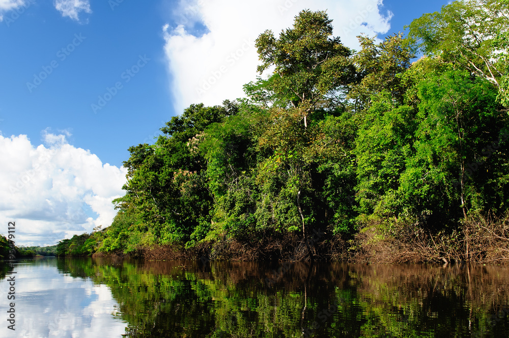 The Amazonian juThe Amazonian jungle in South America explore on the boatngle The Amazonian juThe Amazonian jungle in South America explore on the boatngle