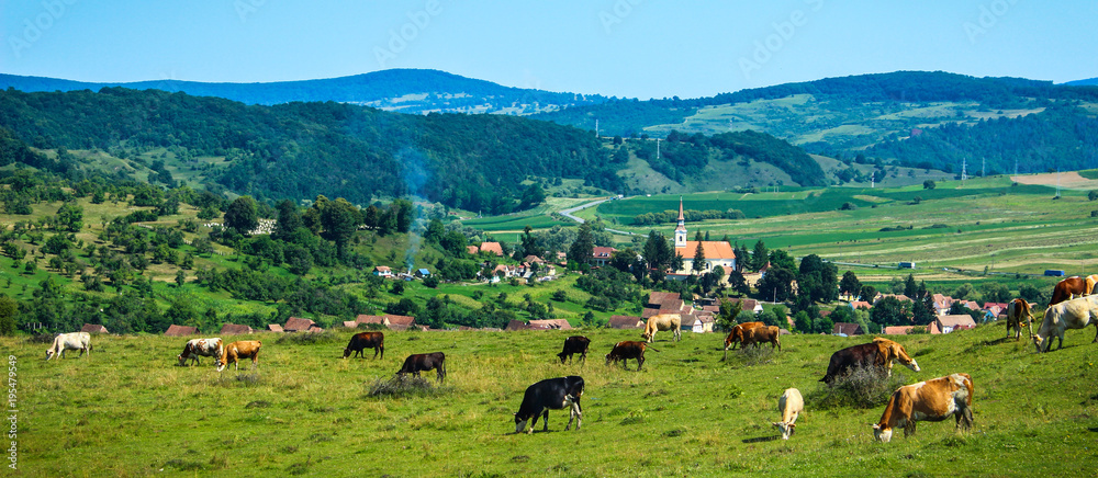 Pastural Landscape of Romania