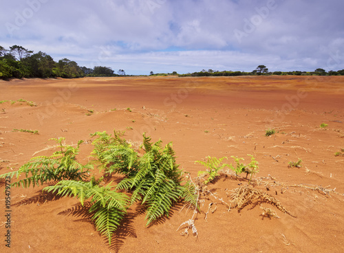 Barreiro da Faneca, Red Desert, Santa Maria Island, Azores, Portugal, Atlantic photo