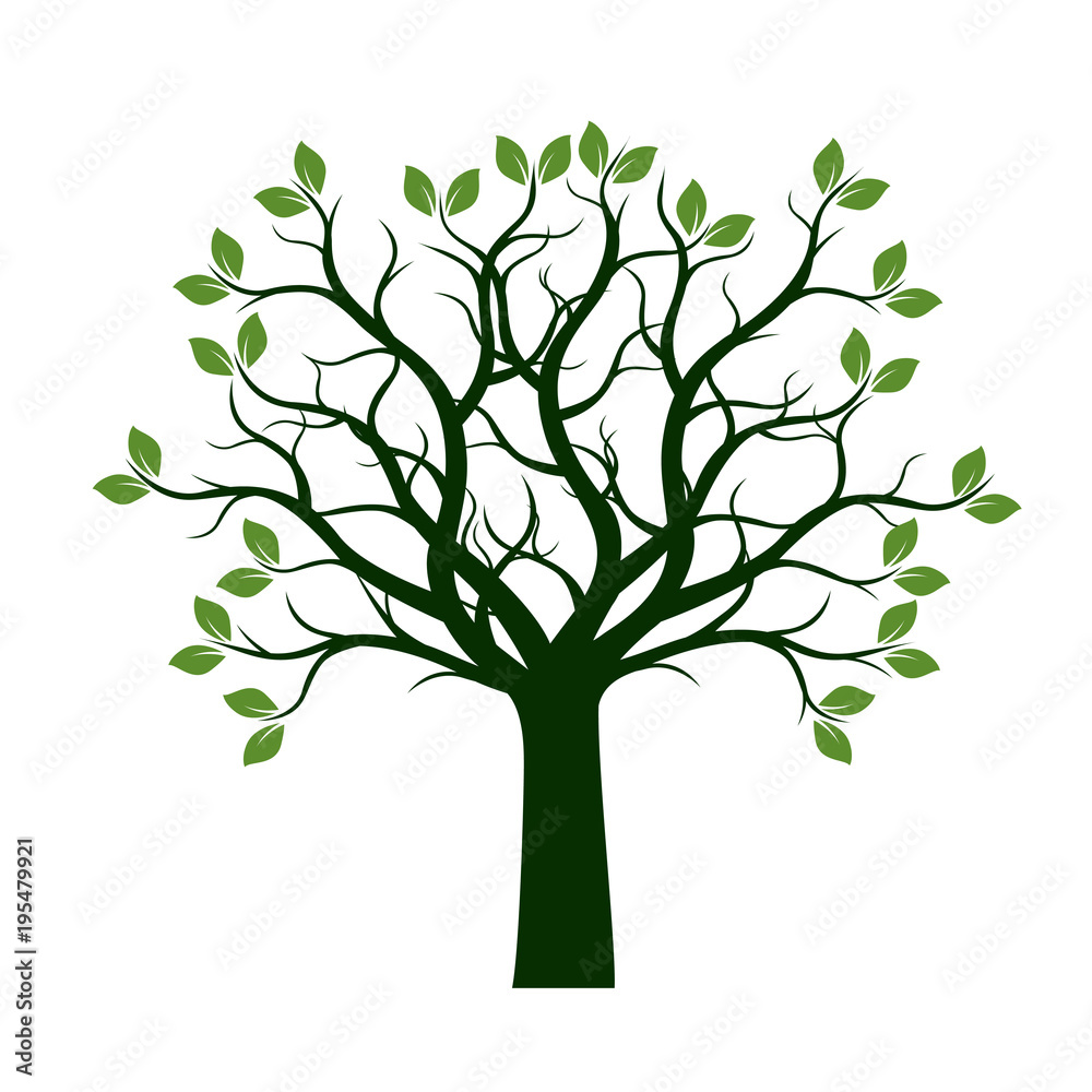 Green Spring Tree with Leaves. Vector Illustration. Green Spring Tree with Leaves. Vector Illustration.