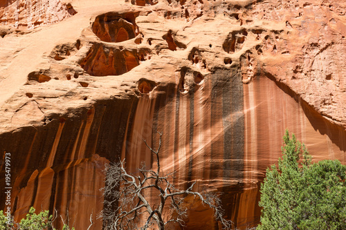 Burr Trail 2