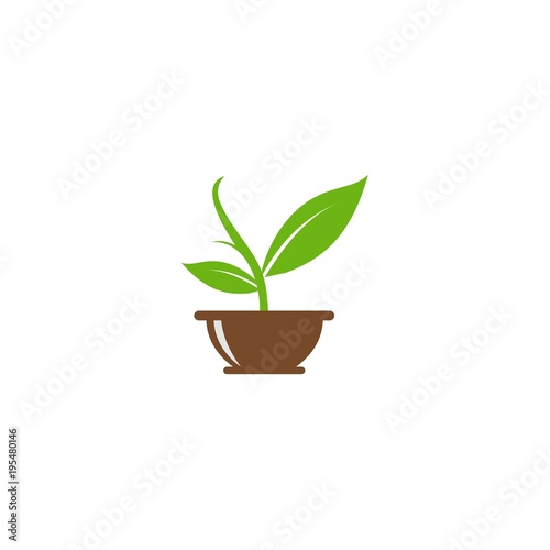 leaf in pot