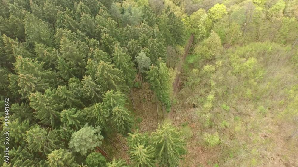 Spring mixed forest in the middle of Europe from above. Spring mixed forest in the middle of Europe from above.