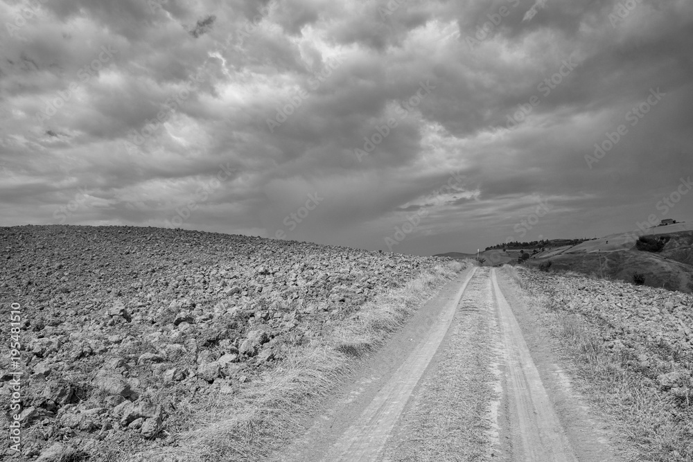 Naklejka premium Tuscany: the road to Torre a Castello