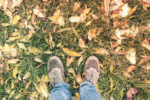 Two legs in jeans and sneakers on green grass and fallen autumn yellow and orange leaves
