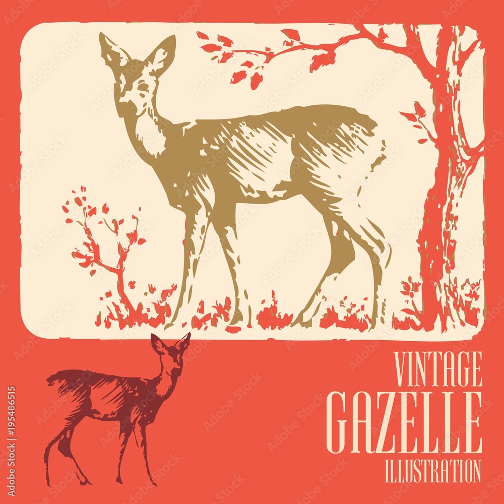 Wild animals in vector Wild animals in vector