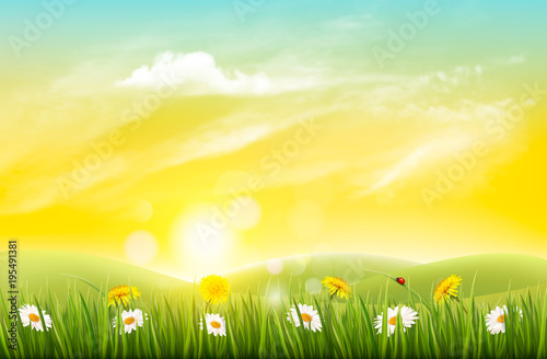 Spring nature background with grass and flowers. Vector.