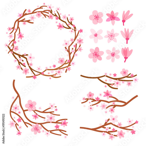 Vector blossom cherry. Japan sakura branch and flower