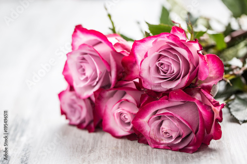 Roses. Pink roses with two hearts and red gift.