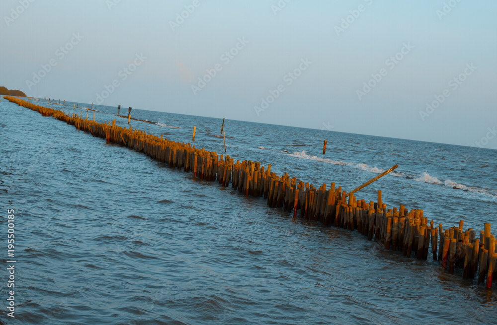 bamboo dam defend waves and  slow down waves coast .