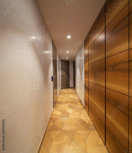 Empty corridor with wodden closet