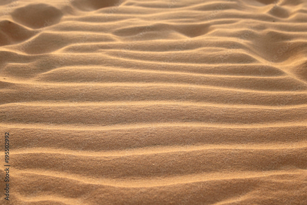 Sanddüne Sanddüne