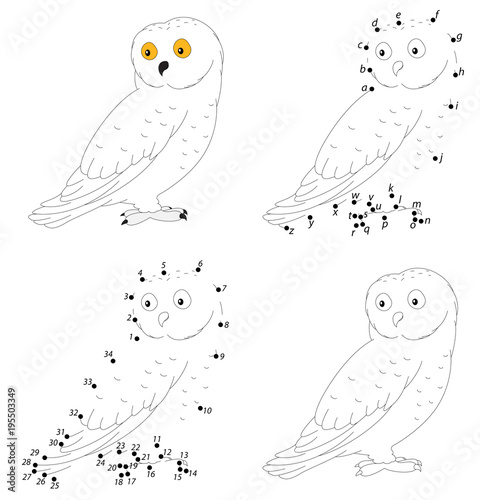 Cartoon polar owl for babies. Coloring book and dot to dot game for kids