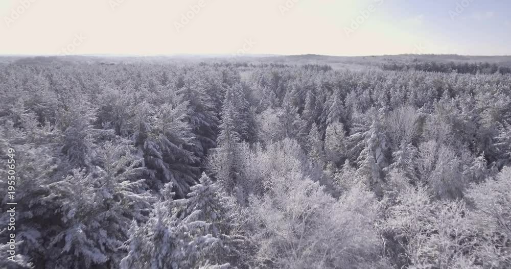 4K Flying Above Snow Covered Trees 02 4K Flying Above Snow Covered Trees 02
