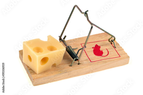Morceau de gruyère sur un piège à souris 