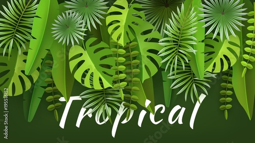 Tropical leaves and plants. Green abstract background with tropical foliage. Cut paper. Vector illustration