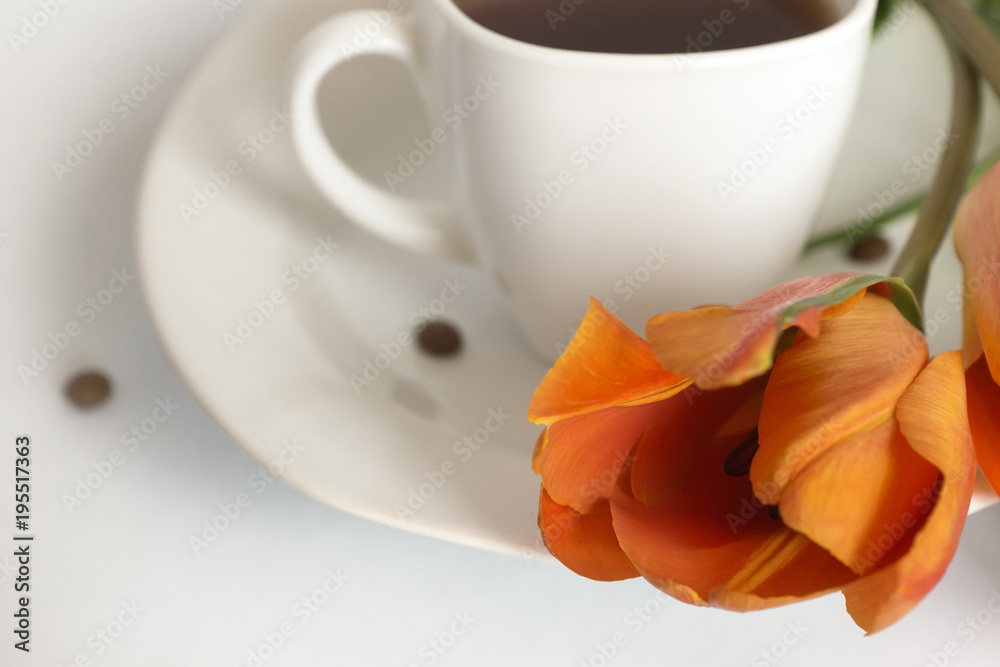 Beautiful, delicate orange tulips.