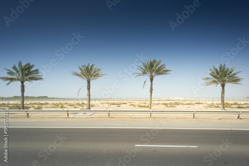 Road with palms in the UAE between Dubai and Abu Dhabi