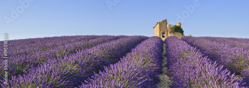 FRA/Provence, Valensole