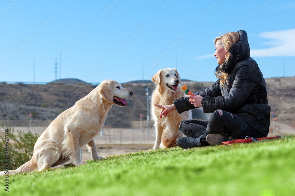 Perros y animales de compañia.Chica jugando con sus mascotas en el parque.Educacion y entrenamiento de perros Perros y animales de compañia.Chica jugando con sus mascotas en el parque.Educacion y entrenamiento de perros