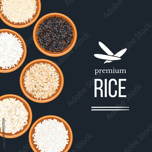 Different types of rice in plates and bowls on dark background. top veiw. Basmati, wild, long brown, arborio, sushi.
