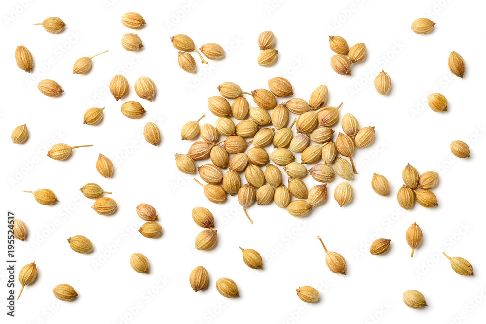 closeup of dried coriander seeds isolated on white, top view closeup of dried coriander seeds isolated on white, top view
