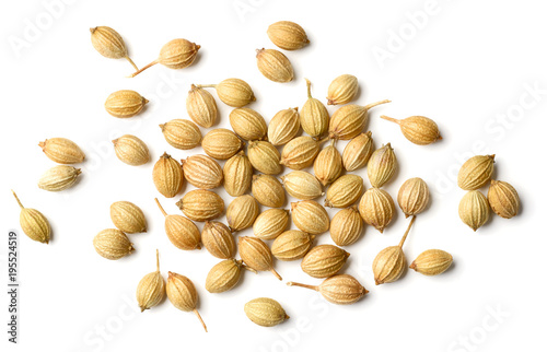 closeup of dried coriander seeds isolated on white, top view photo