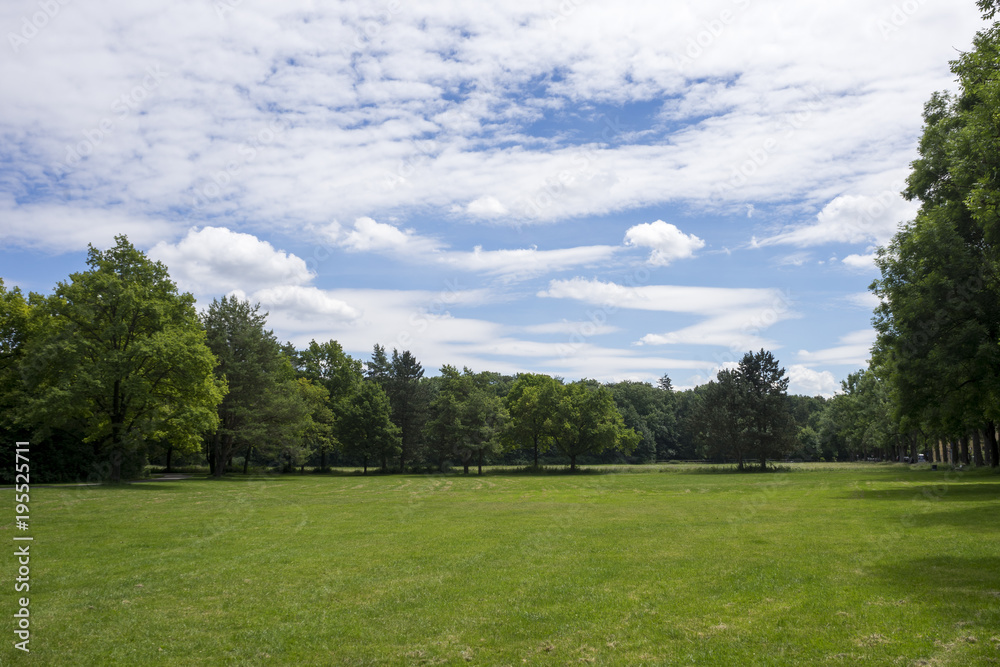 Grüne Wiese im Park Grüne Wiese im Park