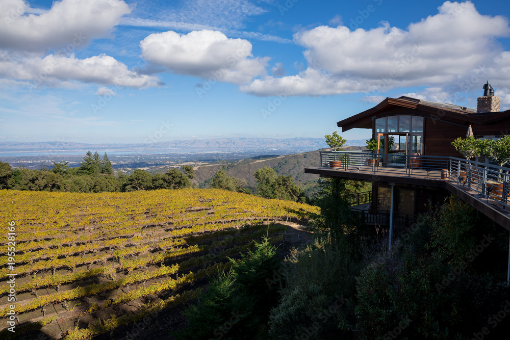 Winery Wedding Venue View