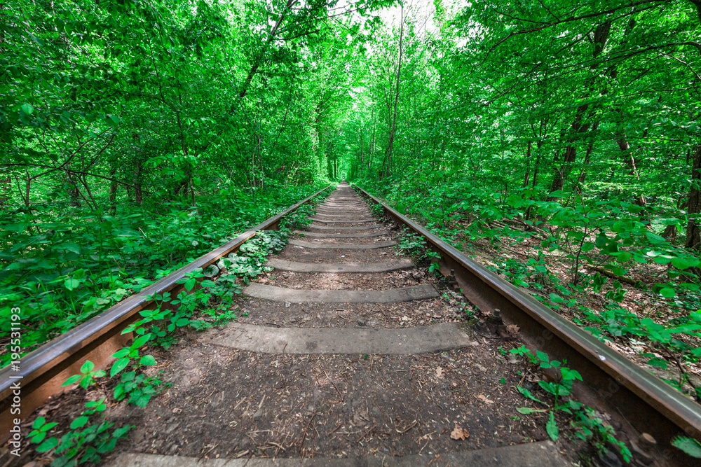 a railway in the spring forest tunnel of love a railway in the spring forest tunnel of love