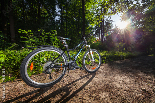 Mountain biking down hill descending fast on bicycle. View from bikers eyes. © Ruslan Ivantsov