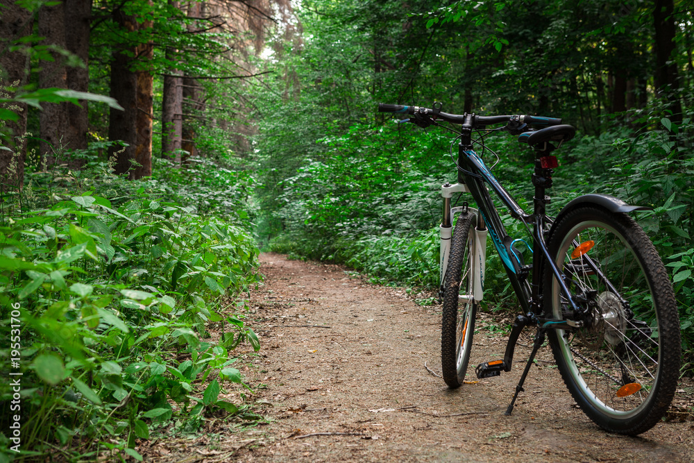 Mountain biking down hill descending fast on bicycle. View from bikers eyes. Mountain biking down hill descending fast on bicycle. View from bikers eyes.